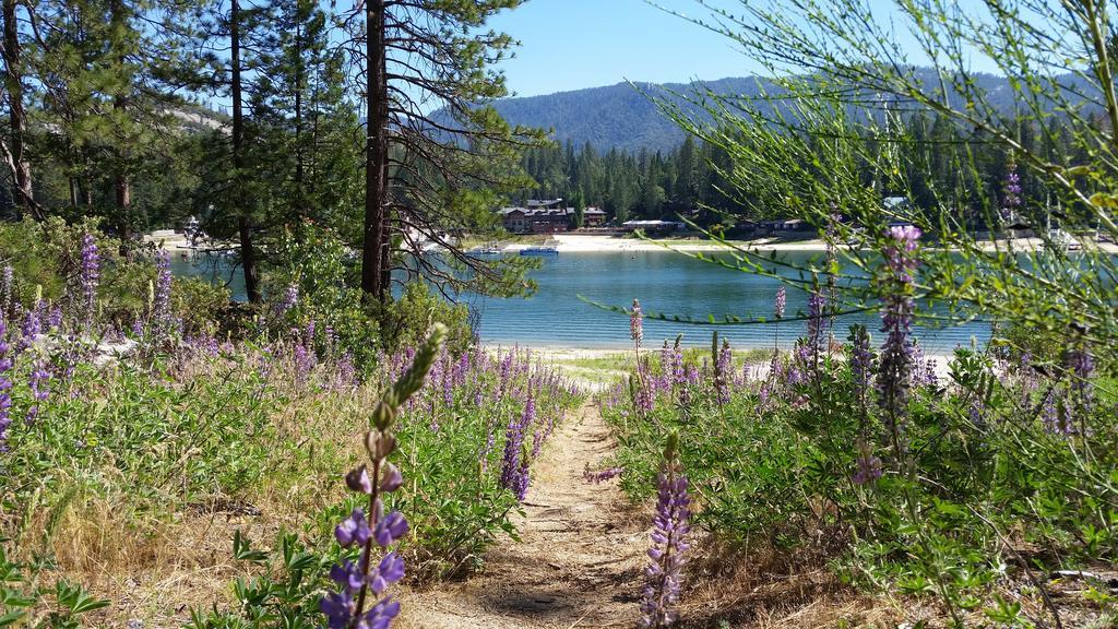 The Pines Resort & Conference Center Bass Lake Exteriér fotografie